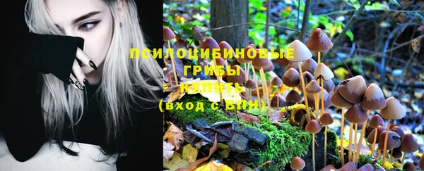бошки Алзамай