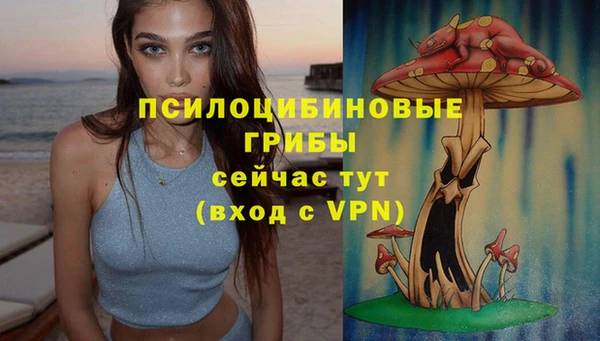 бошки Алзамай