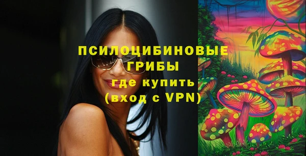 бошки Алзамай