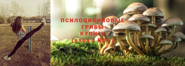 бошки Алзамай