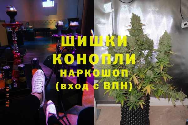 бошки Алзамай
